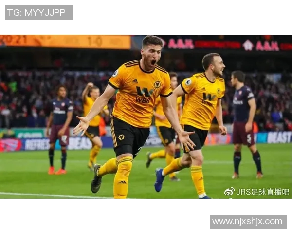 诺维奇与狼队对决前瞻分析双方状态及战术布局展望